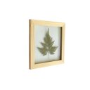 Ver imagem 2 de Quadro 20x20 Cm Folha Desidratada Natural Renda Portuguesa Moldura Pinus