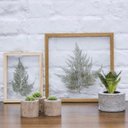 Ver imagem 5 de Quadro 20x20 Cm Folha Desidratada Natural Renda Portuguesa Moldura Pinus