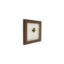 Ver imagem 2 de Quadro 15x15 Cm Folha Desidratada Natural Trevo de Quatro Folhas Moldura Imbuia
