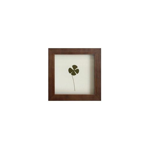 Quadro 15x15 Cm Folha Desidratada Natural Trevo de Quatro Folhas Moldura Imbuia