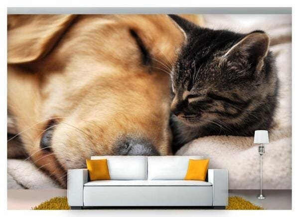 Papel de Parede Animais Cão Gato Dormindo 3d Anm154 - 1