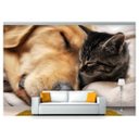 Ver imagem 1 de Papel de Parede Animais Cão Gato Dormindo 3d Anm154