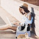 Ver imagem 6 de Mochila Bolsa Transporte Pet Cachorro Gato Animais Bolso Ventilado Ar Vista Panoramica Viagem Passei