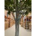 Ver imagem 6 de Árvore Artificial Realista Tamanho Real para Decoração 3m.