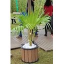 Ver imagem 3 de Cachepot Redondo em Madeira Plastica 50×40 Ipê