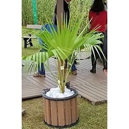 Cachepot Redondo em Madeira Plastica 50×40 Ipê - 3