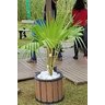 Cachepot Redondo em Madeira Plastica 50×40 Ipê - 3