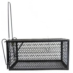 Ratoeira Grande Em Metal Estilo Gaiola Armadilha - 4