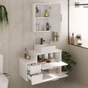 Ver imagem 2 de Conjunto Gabinete Banheiro Nivus 80cm (armário + Cuba + Espelheira) Branco Inteiro