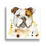 Quadro Bulldog Ingles 80X80Cm Slim Amadeirada B086 - 3