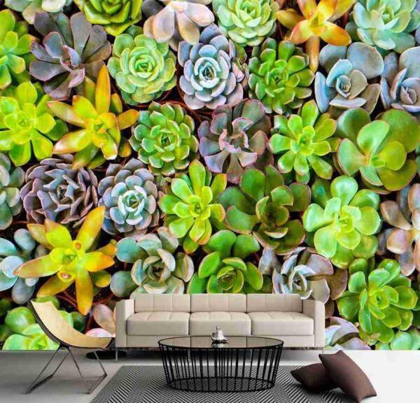 Papel De Parede Viva Cacto Jardim Vertical Suculentas Gg766 - 3