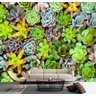 Papel De Parede Viva Cacto Jardim Vertical Suculentas Gg766 - 3