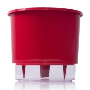 Vaso Auto Irrigável Raiz Vermelho Tamanho 04