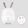 Mini Umidificador Ar Coelho Mesa Difusor Aromatizador Usb - 7