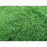 Grama Sintética Decorativa 1,00 X 1,00 M - 12 Mm - 3