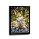 Ver imagem 5 de Quadro Árvore Presença