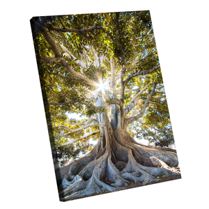Quadro Árvore Presença