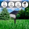 Luz Verde para Jardim Solar de Led 12hr Funcionamento - 4