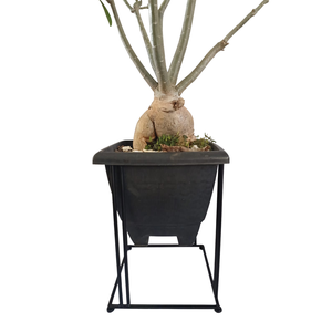 Cachepô Aramado Decorativo Para Vasos 30cm x 30cm x 41cm