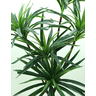 Planta Dracena 5 Galhos 90cm Verde para Vaso Decorativo - 2