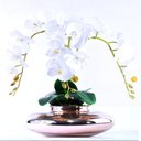 Ver imagem 1 de Arranjo 3 Orquídeas Artificiais em Terrário Rose Gold