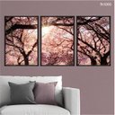 Ver imagem 2 de Kit 03 Quadros Decorativos - Cerejeiras Ao Sol Flnt066 - Vidro com Impressão Uv - 60x80cm