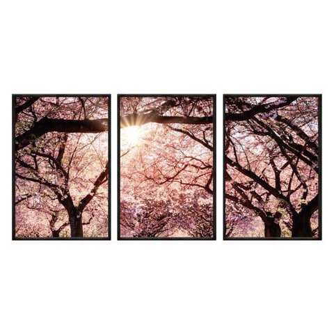 Kit 03 Quadros Decorativos - Cerejeiras Ao Sol Flnt066 - Vidro com Impressão Uv - 60x80cm