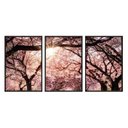 Ver imagem 1 de Kit 03 Quadros Decorativos - Cerejeiras Ao Sol Flnt066 - Vidro com Impressão Uv - 60x80cm