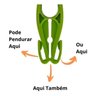 Prendedor com Ganchos 12 unidades Sec+ Krio - Verde - 2