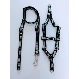 Conjunto Peitoral cachorro Smooty Pet M Listrado:Preto - 1