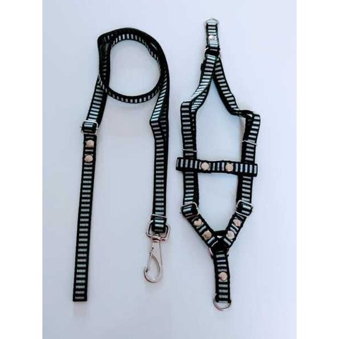 Conjunto Peitoral cachorro Smooty Pet M Listrado:Preto