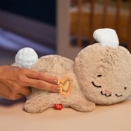 Coelhinho Doces Sonhos Hora de Dormir - Jcc12 - Fisher-price - 7
