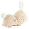 Coelhinho Doces Sonhos Hora de Dormir - Jcc12 - Fisher-price - 3