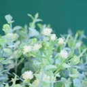 Ver imagem 3 de Arranjo de Eucaliptos Verdes Artificiais no Vaso de Vidro | Formosinha