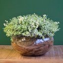 Ver imagem 1 de Arranjo de Eucaliptos Verdes Artificiais no Vaso de Vidro | Formosinha