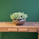 Ver imagem 2 de Arranjo de Eucaliptos Verdes Artificiais no Vaso de Vidro | Formosinha