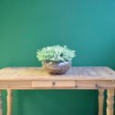 Ver imagem 4 de Arranjo de Eucaliptos Verdes Artificiais no Vaso de Vidro | Formosinha