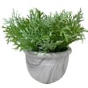 Ver imagem 2 de Vaso centro de mesa estampa marmorizada com planta