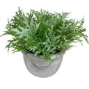 Ver imagem 3 de Vaso centro de mesa estampa marmorizada com planta