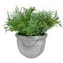 Ver imagem 1 de Vaso centro de mesa estampa marmorizada com planta