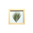 Ver imagem 1 de Quadro 30x30 Cm Folha Natural Desidratada Palmeira Moldura Pinus