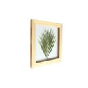 Ver imagem 2 de Quadro 30x30 Cm Folha Natural Desidratada Palmeira Moldura Pinus