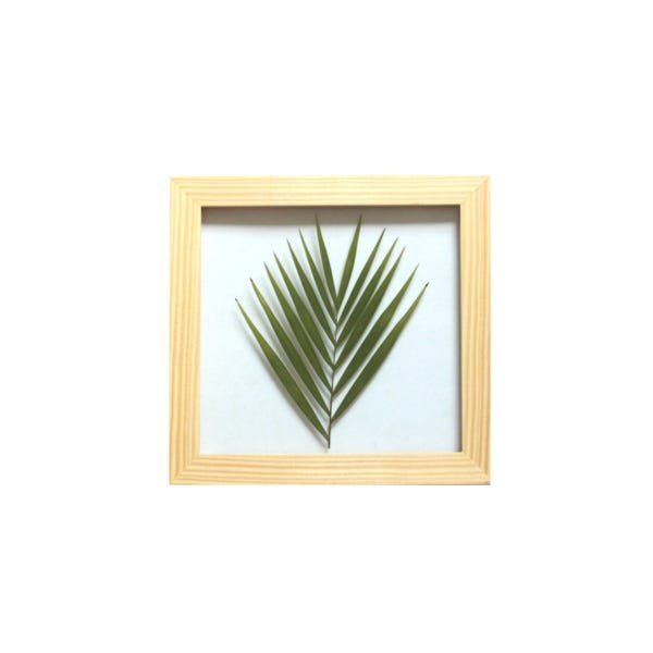 Quadro 30x30 cm Folha natural desidratada Palmeira Moldura Pinus