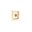 Ver imagem 2 de Quadro 10x10 Cm Folha Natural Desidratada Trevo Quatro Folhasmoldura Pinus
