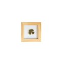 Ver imagem 1 de Quadro 10x10 Cm Folha Natural Desidratada Trevo Quatro Folhasmoldura Pinus