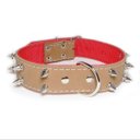 Ver imagem 1 de Coleira Couro Top Rubber Forrada Dupla Com Cravo Pitbull