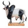 Escultura Em Argila: Boi Da Raça Guzerá (523) - 1