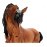 Cavalo Marrom Veronese 00617 - 2
