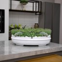 Ver imagem 2 de Vaso Bacia Decorativo Osaka Branco G 16x65x52 cm - D’Rossi