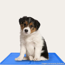 Ver imagem 4 de Tapete Gelado para Pet 50cm X 90cm Meu Pet - Tamanho Gg
